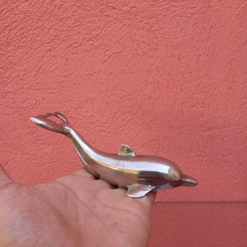 Dolphin Bottle Opener used