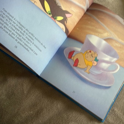Cendrillon (Cinderella) children's book like new, French