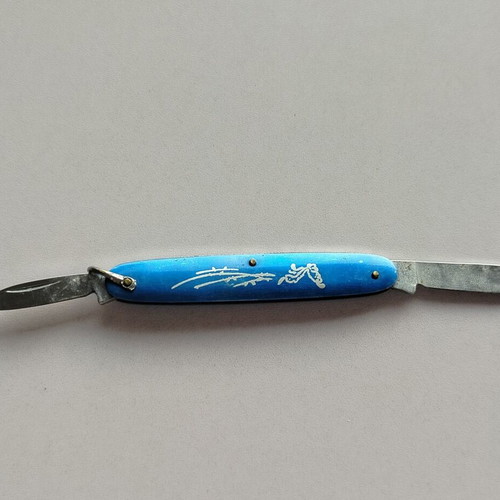 Small blue pocket knife used
