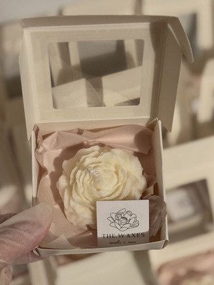 Peony candles pack of 5, plant wax, scented
