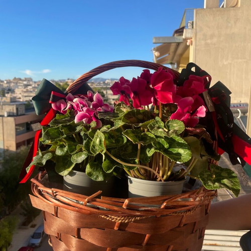 Woven brown basket like new