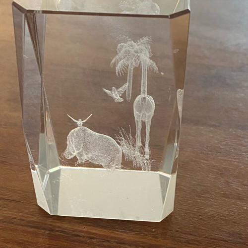 3D decorative with animals like new