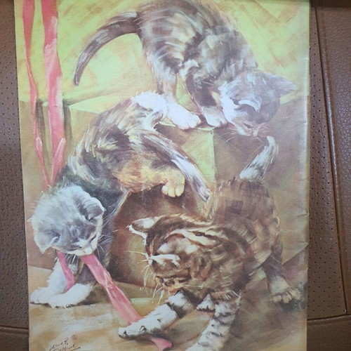 How to Draw Cats and Kittens book used
