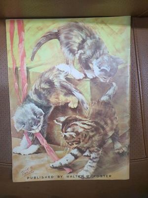 How to Draw Cats and Kittens book used