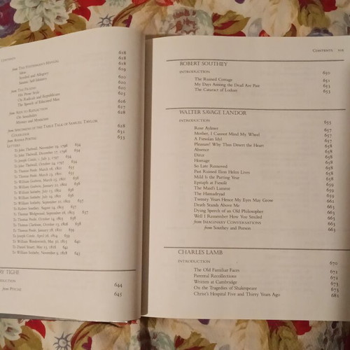 English Romantic Writers book like new