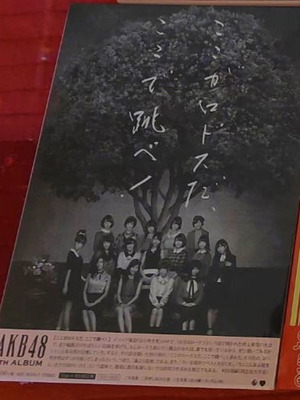 Koko ga Rhodes da, Koko de Tobe! AKB48 6th album, like new, J-Pop