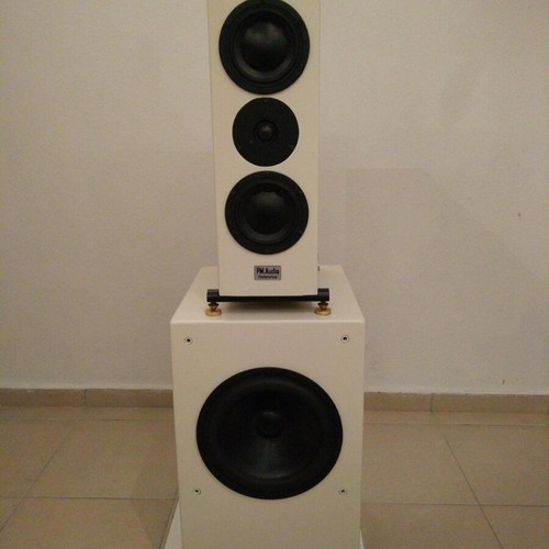 Dynaudio Gemini two-way speaker used with 10-inch woofer