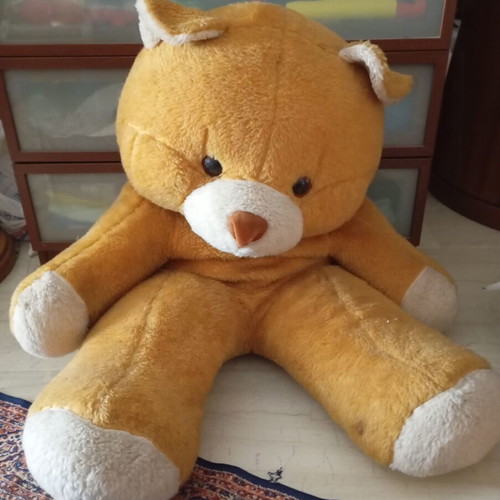 Large teddy bear like new