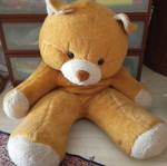 Large teddy bear like new
