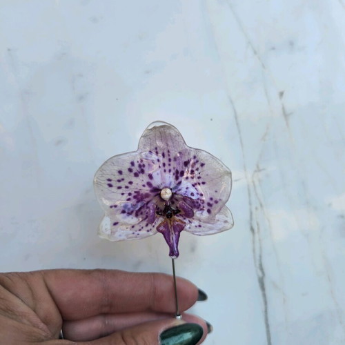 Handmade brooch pin with natural orchid flower new