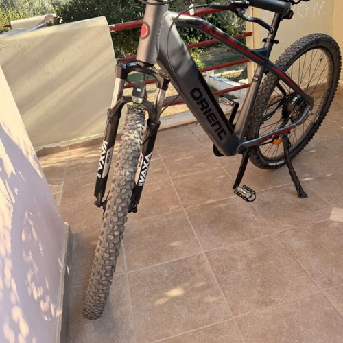 Orient E-Bike Ultra 1.0 29" MTB with Bafang 250W Rear Motor