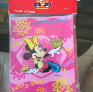 Αλμπουμ φωτογραφιών Minnie disney