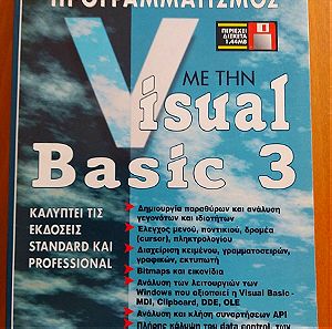 Προγραμματισμός με την Visual Basic 3