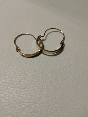 Hoop-shaped hanging earrings new
