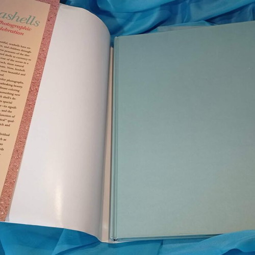 Book Seashells - A Photographic Celebration N.R. Gordon hardcover like new