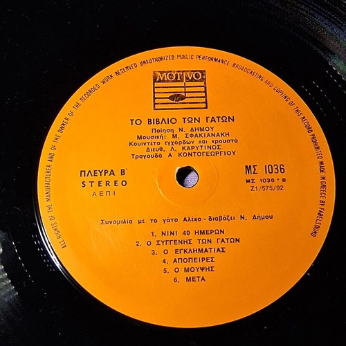 Vinyl To Vivlio Ton Gaton like new, entechno
