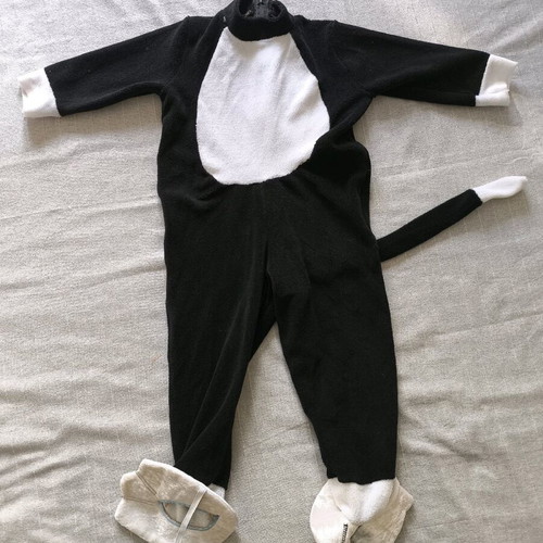 Silvester carnival costume for 24 months like new