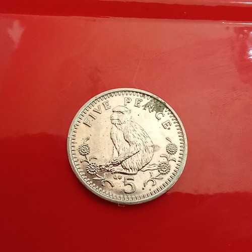 5 Pence Coin from Gibraltar with Queen Elizabeth II and Barbary Macaque