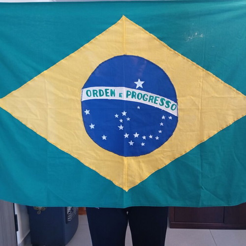 Brazilian flag new