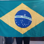 Brazilian flag new