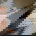  φούτερ ζακέτα Large