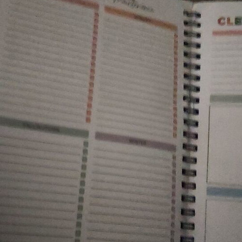 Cleaning and Decluttering Book like new