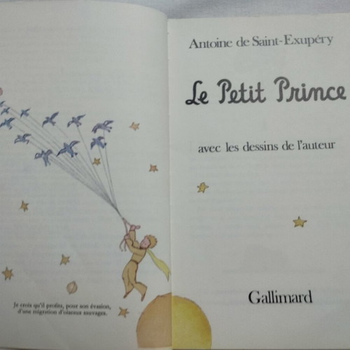 Le Petit Prince and Bescherelle French language books like new