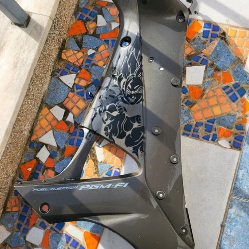 Innova injection plastic parts used, fairing and right legs with flash