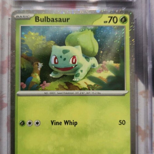 Bulbasaur promo Pokemon card 2023 mint 9 Black Star Promos 046