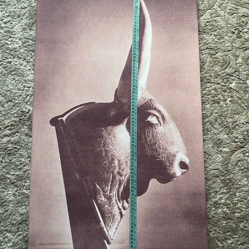 Canvas print with artistic bull depiction vintage style