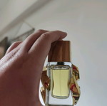 Michael Kors Pour Femme κανονικό άρωμα σαν καινούργιο 50 ml