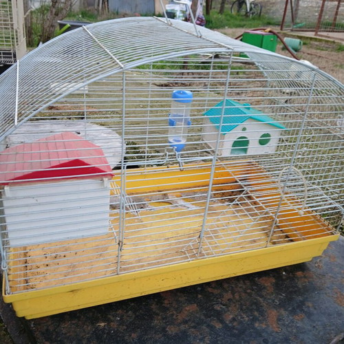 Hamster cage used with houses, water bottle and ladder