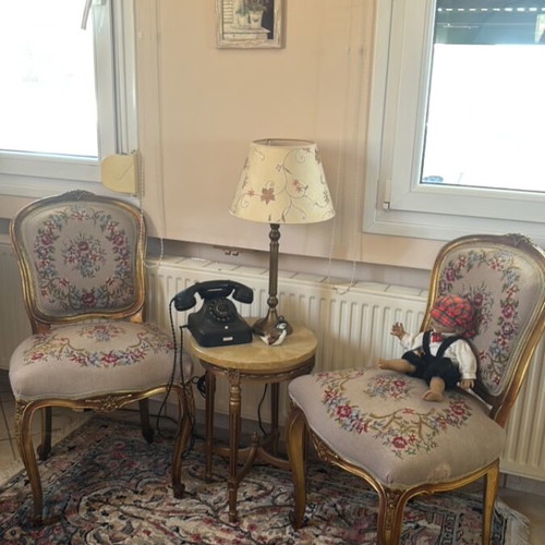 Embroidered Varagis Chairs like new