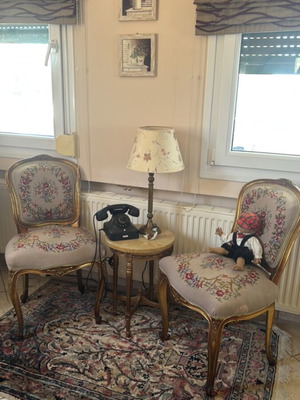 Embroidered Varagis Chairs like new