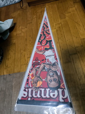 Chicago Bulls NBA pennant XXL Dennis Rodman like new