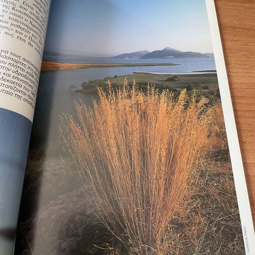 Gaiorama Experiment Water The Source of Life November-December 98 used