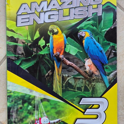 Hamilton House Amazing English 3 English book used with notes