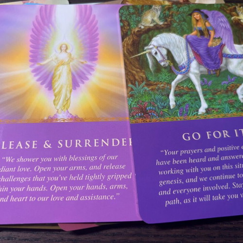 Daily Guidance From Your Angels Oracle Tarot Deck new, with guidebook