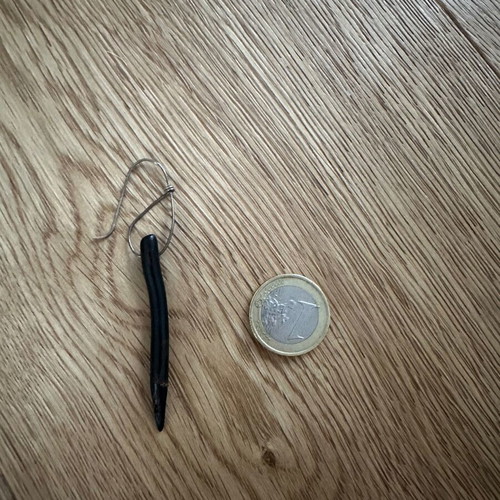 Black hanging earring like new