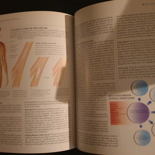 Menopause book like new by Dr. Miriam Stoppard