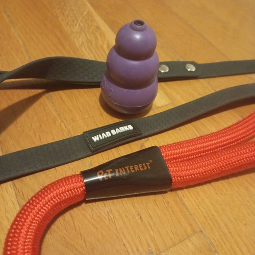 Dog leashes 2 pcs like new with Kong small gift