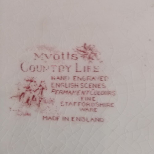 Myott Country Life vintage decorative platter