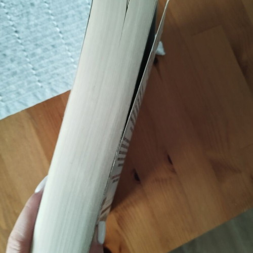 The Redbreast by Jo Nesbo like new, English