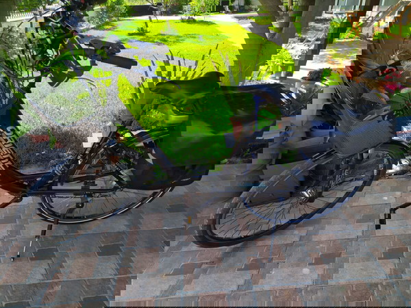 Ηλεκτρικό ποδήλατο Orient '22 my bik-e