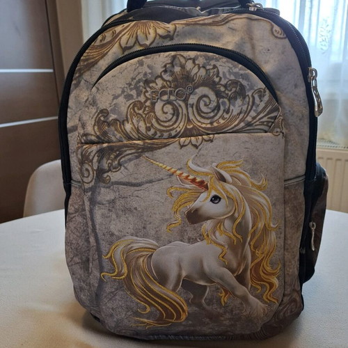 Polo Authentic School Backpack like new with 5 compartments and waterproof cover