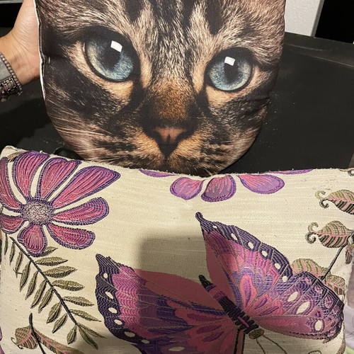 Pillows, new