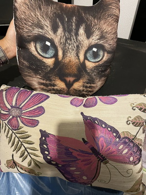 Pillows, new