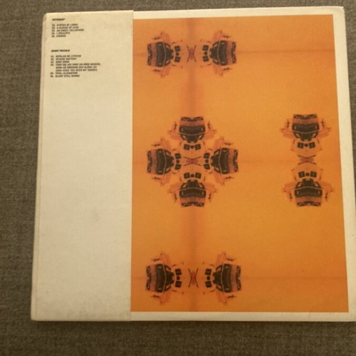 Asterisk / Jenny Piccolo Split 10inch vinyl used, Swedish progressive grindcore