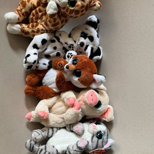 Set of 5 used Ty dolls