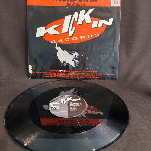 Wishdokta Evil Surrounds Us vinyl used, rock